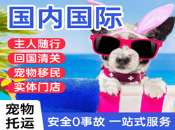 营口兰旗国际宠物托运 【国